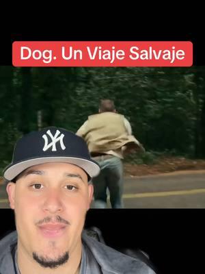 Dog un viaje salvaje 2022 movie #movie #dog #dogunviajesalvaje #dogunviajesalvaje2022 #dogmovie #perros #suspense #happynewyear2025 #movies 