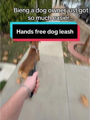 I still cant believe how well it handles a dog his size#dog #dogs #handsfreedogleash 