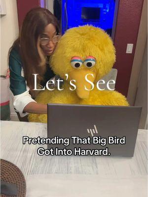 Checking to see if Big Bird Made Into Harvard🥰 #bigbird #Harvard #fyp 