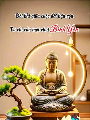 Đôi khi giữa cuộc đời bận rộn, Ta chỉ cần một chút Bình Yên ✨❤️‍🩹🙏 #tichphuccaimenh #adidaphat #zenhealingjapan #phậttạitâm #followers➕ #tu #meditation #zen #🙏🙏🙏 