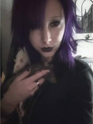 #goth #gothic #rats #gothtok #georgemichael #80sgoth #traditionalgoth #foryoupage #tradgoth #tradgothhair #purplehair #gothoutfit #casualgoth #fyp #foryou #foryoupage #christmas #gothmas 