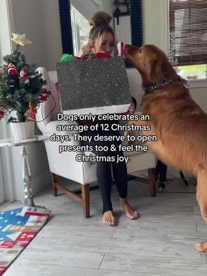 Dogs deserve the world. #dogsoftiktok #christmas #christmastiktok #dogstok #goldenretriever 