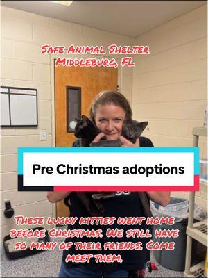 Add a new animal to your family and make their 2025 awesome! #safeanimalshelter #adoptionupdate #sheltercats #fosterkittens #adoptablecats #adoptablekittensoftiktok #shelterdogsrock 