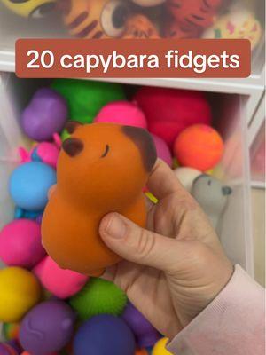 Replying to @pizza_lover soooo many capybara fidgets at @Fidget Toys Plus 🫶🏻 #mrsbenchfidgets #mrsbench #worldsbiggestfidgettoystore #fidgettoysplus #fidgetchallenge #capybara 