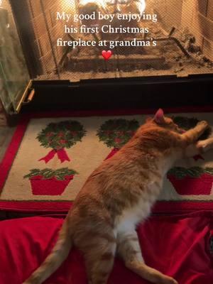 My cozy boy loves his fireplace ❤️🎄 #cat #catvideo #catchristmas #cozy #fireplace #orangecat #kity 