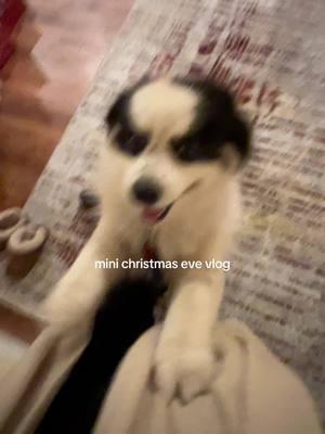 better late than never #Vlog #Vlogmas #christmaseve #christmas #family #italiano #longvideo #italianmom #italiandad #diml #bilingual #italianchristmas 