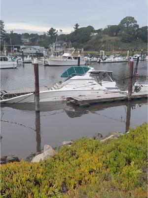 Replying to @Mimi  You could see it coming, I didn’t film them all. This one flipped and sank the red boat and others. Snapped some masts. Many of the surges would rip apart the docks which is why we would run. Because if the dock snaps on you with this surge it’s not good. I’ll attach a video later of the docks that are destroyed and why we would run with each swell. #santacruz #wave #boats #boats #sinking #sunk #ocean #scary #waves 