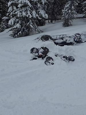 you good brother?  #Snowmobiling #SnowmobileLife #SledLife #SnowmobileAdventure #SledHeads #WinterSports #ExtremeWinter #SnowSports #WinterWonderland #PowderLife #AdventureAwaits #OutdoorLifestyle #ExploreMore #MountainLife #GetOutside #MotorSports #AdrenalineRush #OffRoadLife #ExtremeSports #AdventureAddict #WinterVibes #FirstSnow #WinterEscape #ColdWeatherAdventures #WinterAddict 