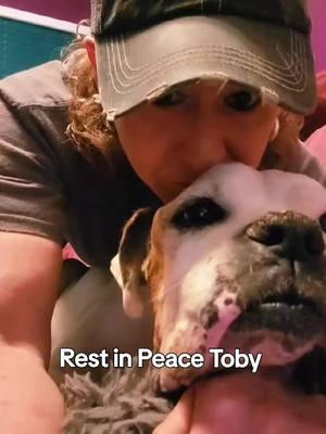 #Love #gonetosoon #tennessee #easttennessee #restinpeace#bestfriend #boxer#boxersoftiktok #olddogs#foryouupage #missingyou #Iloveyoutoby#Toby