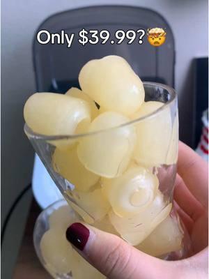 $39.99???????????#icemaker #merrychristmas #cheapicemaker #iceeating #fyp #TikTokShop 