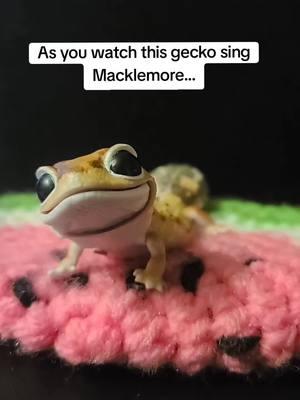 #gecko #figurine #cute #stopmotion #lipsync #macklemore #peaceandlove #spreadawareness 