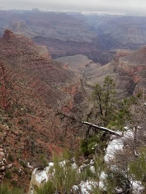 I loved the Grand Canyon with snow on it. Just gorgeous. Great memories #sharih55 #foryou #grandcanyon #fyp #roadtrip #hike #grandcanyonnationalpark #memories #foryoupage #Hiking #snow 