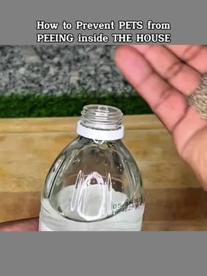 How to Prevent Pets from Peeing inside The House. #Tricks #TipTikTok #HomeTips 