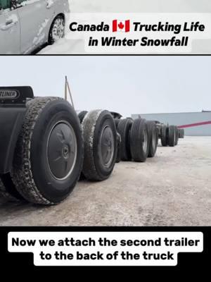 Canada 🇨🇦 Trucking Life in Winter #foryou #trending #fyp #snowincanada🇨🇦 #viewproblem #snowwonder #truckinglife #wintertrucking #Vlog #trending #1millionviews #dailyvlog 