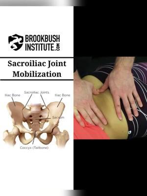 🔴 Sacroiliac Joint Mobilization Video clip from the online course "Joint Mobilization: Lumbar Spine and Sacroiliac Joint": The course counts for 2 credits toward the Brookbush Institute certifications and is pre-approved continuing education. Watch the full video and take the course! Go to our profile 👉 @BrookbushInstitute Click on linkin.bio/brookbushinstitute Choose this image 🔵 Brookbush Institute offers: • Certified Personal Trainer (CPT) Certification • Human Movement Specialist (HMS) Certification • Integrated Manual Therapist (IMT) Certification • 180+ CEC-approved courses • Courses on desktop or mobile • 500+ videos & 500+ articles • New features and content added weekly! 🔴 Completing courses and certifications has never been easier, and the quality of courses has never been higher! #integratedmanualtherapist #effectivetreatment #physio #physicaltherapist #physiotherapist #manualtherapy #integratedmanualtherapy #IASTM #athletictrainer #chiropractic #LMT #massagetherapy