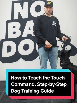 Want to teach your dog the touch command? It’s a great way to improve focus and obedience. Using No Bad Dog Nubz, you can lure and reward your dog effectively while maintaining engagement. Learn the steps to get started and see results quickly. #DogTraining #TouchCommand #NoBadDogs #PositiveReinforcement #DogTrainer 