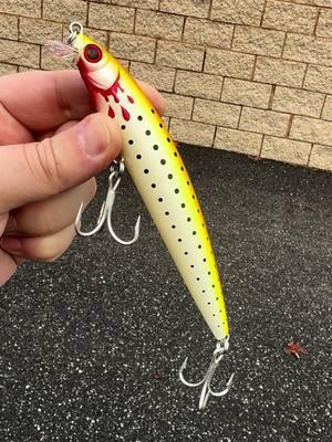 Yo-Zuri Hydro Minnow is a great choice for Spring striped bass fishing! #jandhtackle #fishing #inshorefishing #surfcasting @yozuri_lures 