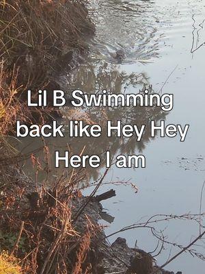 Triple Troubles leader is Definitely Lil B. At least I am getting some extra exercise in the morning.  #tripletrouble #lilb #troublemaker #nutria 