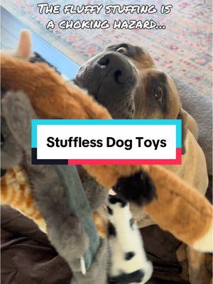 Stuffies are cute, but they are too risky for dogs in my opinion. We opt for stufffless toys instead.  #stuffies #risky #blockage #choking #dogtoys #dog #dogsoftiktok #boerboel #tugofwar #fetch #play #stufflesstoys #bigdog #goodgirl 