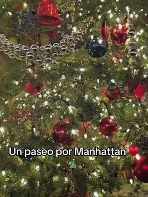 La gran ciudad es muy buena opcion en navidad 🎄✨♥️#bigcity#dominicana🇩🇴#manhattan#fyp#navidadentiktok 