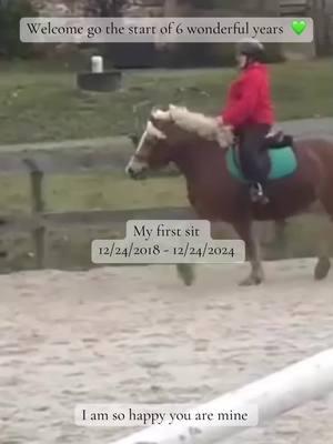 Against my parents wishes I tried this once in a life time horse. Who would have thought a week (Jan 1 2019)  later she’d pass her vetting and be mine 💚#onthisday #gottchaday #christmaspony #haflinger #horse #horsesoftiktok #horsetok #horsegirl #horses #merrychristmas #equestrian #happyholidays #