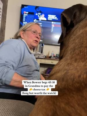 #grandmasoftiktok #fyp #dogsoftiktok #cheesetax #mastiffsoftiktok #mastiffs #grandma #doggo #doglife #bowserandbenny #cute #brothers #begging #happyholidays 