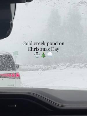 ☃️❄️✨ Gold Creek Pond #fyp #snow #snoqualmiepass #snoqualmie #snowday #christmasday #christmas #foryou #paratii #foryou #fypシ゚viral #familytime #tiempoenfamilia #nieve #seattlewashington #wastate 