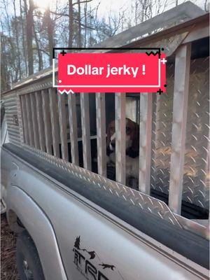 Favorite snack for the deer woods , even the girls approve #deer #hunting #snack #jerky #keepwrenchin #hound #outdoor #beefjerky #girldad #mechanic @Dollar Jerky Club @ArchersAngling 