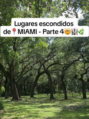 Things to do Miami Florida - Lugares escondidos Miami parte 4 #creatorsearchinsights #miamiplacestogo #miamithingstodo #thingstodoinmiami #miami