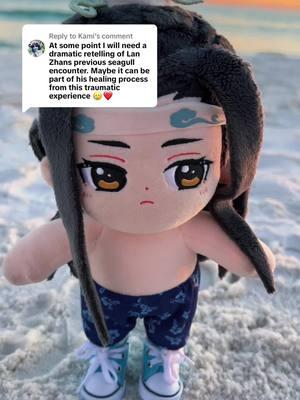 Replying to @Kami Why Lan Zhan hates seagulls 😭 #weiwuxian #lanwangji #weiwuxiandoll #wangxiandolls #mdzs #modaozushi #lanwangjidoll #wangxian 