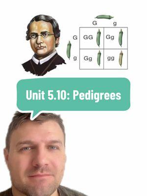 Unit 5.10: Pedigrees #biology #apbiology #science #genetics #pedigree #apbio #unit5 #greenscreen 