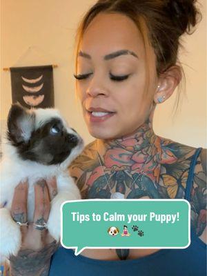 Tips to Calm your Puppy! 🐶🧘🏻‍♀️🐾 Sooo I heard you have the #puppyblues I got you! #newpuppy #puppytraining #puppytips  