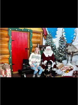 Letting the pups meet Santa! Bass Pro Shop is pet friendly and allows dogs to meet Santa!! Only one of these dogs is a trained service dog, so we made sure to go to a pet friendly location! #posturalorthostatictachycardiasyndrome #posturalorthostatictachycardiac#chronicillness#potsawareness#potssyndromeawareness#pots#syncopeawareness #blackingouts#smallservicedog#disassociation#collegelife#medicalalertdog#pnes#seizure#dogsoftiktok#medicalalert#fnd#fndawareness#spoonie#potsservicedog#triathlon#triathlontraining #ironmanironmantriathlon 