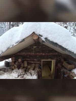 build an underground wooden house at -20°C #logcabin#bushcraft#dugoutshelter#offgrid#shelter#dugout #camping #campingtips #alex_camping #solocamping #survivaltips #build #shelter #wilderness #outdoorskills #Outdoors #bushcraftbuilding