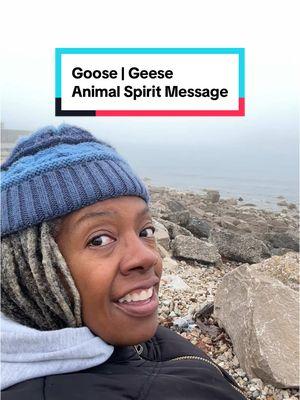 #AnimalSpirit #SpiritAnimal #SpiritAnimalMessage #AnimalSpiritMessage #SpiritMessage #Spiritual #Spirit #Spirituality #NatureGirl #NatureLady #AllNatural #Meditate #Meditation #Goose #Geese 