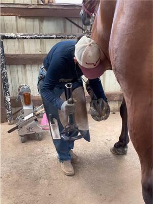 Lo mucho que he mejorado desde que estuve en la escuela de herraje! 🥹🙌🏻 para todas las personas que me han preguntado, yo me gradue del cueso avanzado de herraje en Oklahoma Horseshoeing school, la mejor experiencia y la mejor decision que pide haber tomado 🤠 #farrierlife #farrierschool #pgfarrier 