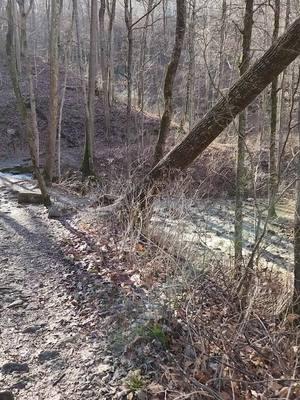 After this years drought, it's good to see a waterfall going strong! #hardincounty #tiogafalls #westpointkentucky #explorekentucky #nature #blueskythinking