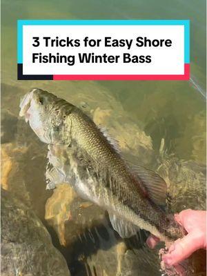 Where do you go to catch bass from shore in the winter? Here's what I do to find the best shore fishing spots on a lake for catching bass in the winter. The key things to look for are deep water, rocky areas, and northwesterly shorelines, as these tend to be the warmest spots on the lake during the colder months. Hope you find This information is useful for anyone wanting to go out shore fishing this winter. #bassfishing #winterfishing #shorefishing #freshwater #bankfishing #winter