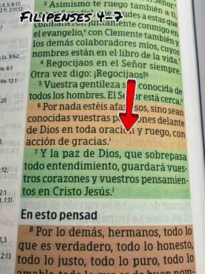 Filipenses 4- 7 #versiculosbiblicos #palabradediosparatuvida #hagamosviralajesus #bibliaviral #paratii #palabradeDios #tiktokcristiano #paratiiiiiiiiiiiiiiiiiiiiiiiiiiiiiii 