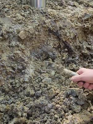 We can't describe how much this year has meant to us a Palmetto Fossil Excursions! Thanks to all the smiles and discoveries we are able to bring in another year digging these ancient treasures!!  #palmettofossilexcursions #reelsviral #naturalhistory #trendingreels #outdooradventures #instagood #travel #LowcountrySC #naturalart #Naturalhistory #paleontology #Explore #adventure