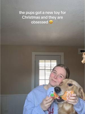 they love it🙏🏻🐾 #dogsoftiktok #fypシ #relatable #justagirl #travel #dogs #golden #goldenretriever #trend #trending #dogtoy #justgirlythings #relatablecontent #TikTokShop #buyitbeforeitsellsout #dogsoftiktokviral #goldenretrieverpuppy #Vlog 