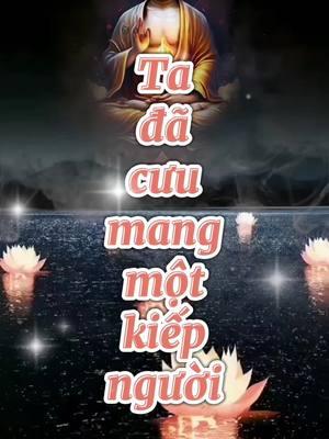 Ta đã cưu mang một kiếp người ✨❤️‍🩹🙏 #tichphuccaimenh #tu #phậtphápnhiệmmầu #xh #followers➕ #phậttạitâm #adidaphat #🙏🙏🙏 #5️⃣ 