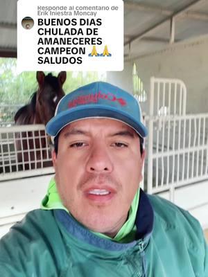 Respuesta a @Erik Iniestra Moncay #chilangochilaqui #caballos #phoenix #family #Reflexiones #cdmx #amigo #turfparadise #horses #thoroughbred 