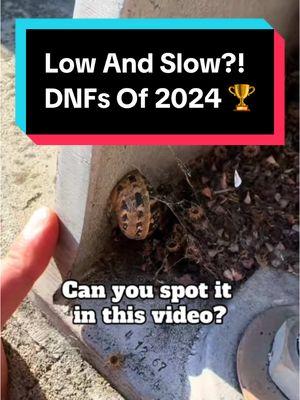 Biggest DNF Failure of 2024? 🏆 Once I really thought about the hint ‘low and slow’, and after I posted this video I realized the Snail that you see 5 seconds into the video IS the Geocache. Can’t wait to avenge this evil DNF next time I’m in the San Francisco area! #Geocaching #DNF #CacheMeIfYouCan #Hullsome #DidNotFind 