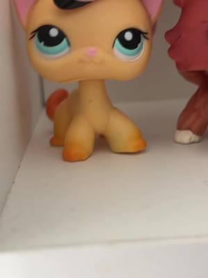 #lps #littlestpetshop #rarelps #lpscollector #lpscollection #lpstok 