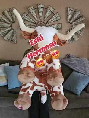 Apoco no está hermoso? 🤩😍🥰🐂🐂🐂🐂🐂🐂🐂🐂🐂🐂🐂 #BuilABearlonghorn #longhorns #leacountynm #newmexico #lovingtonnewmexico #hobbsnm #purochihuahua #chihuahuamexico🇲🇽🔥 #casasgrandespueblomágico #nuevocasasgrandes #westernwear #westernfashion #westerngirl #dallastx #texas #fortworthtx #longhorn 