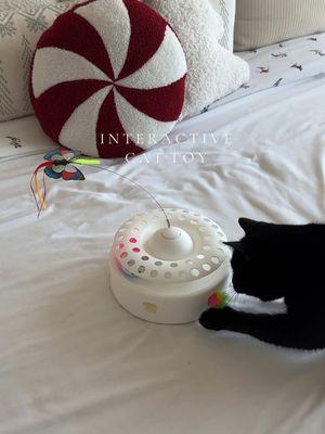 She was playing with this for hours 🤭 #cats #cattoy #automatic #interactivecattoy #TikTokShop #fyp 