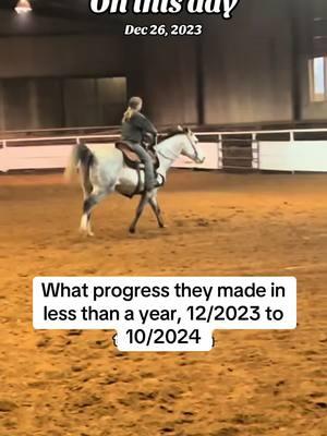 He’s grown so much this past year, I’m so proud of him❤️ #fyp #westernhorses #westernhorsesoftiktok #horsesoftiktok #blowthisup #trending #horses #westernhorsesmerch #aqha 