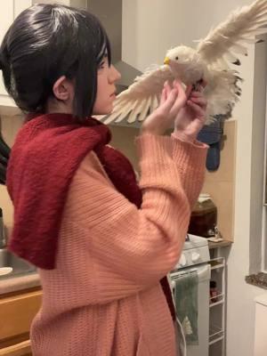 the bird had to join #attackontitan #aot #eren #erenjaeger #mikasa #mikasaackerman #snk #fyp #fypage #mikasacosplay 