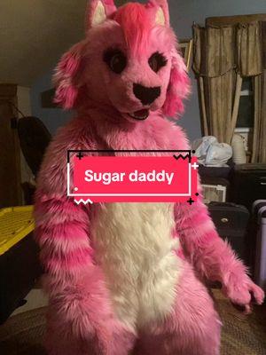 Am i wrong though? #fyp #furry #pink #tigerlynx #fursuit #fursuiter #fursuiting #furrytiktok #furrytiktoker #sugardaddy #holiday #acting #meme #fursona #christmas #christmastiktok #cat #catgirl 